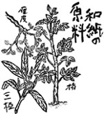 �a���̌���